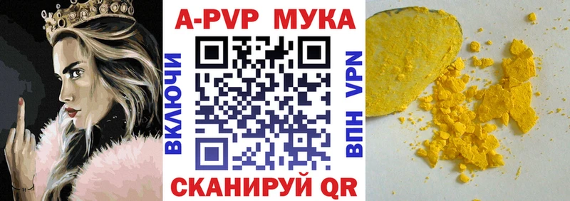 A PVP СК  Камешково 
