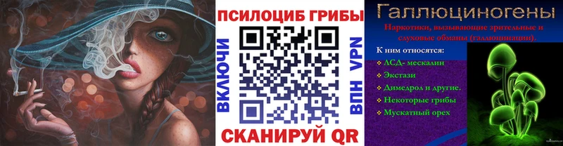 Псилоцибиновые грибы GOLDEN TEACHER  MEGA зеркало  Камешково 
